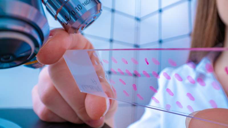 Who We Serve Cancer Incidence Technician examining histological sample