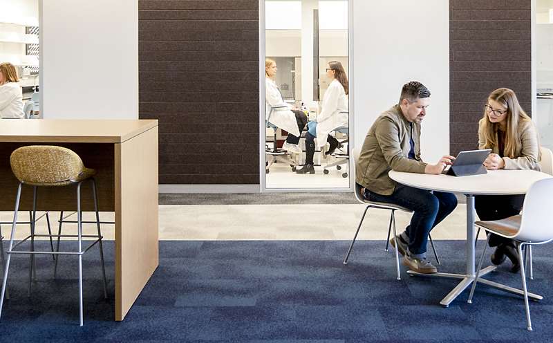 Center for Cancer Discovery Hub