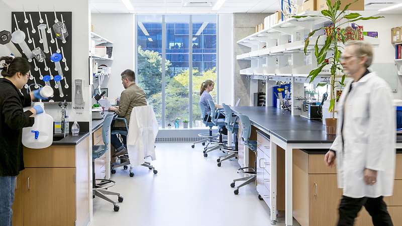 Center for Cancer Discovery Lab with People