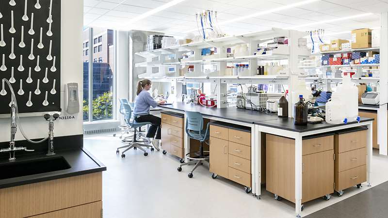 Center for Cancer Discovery Laboratory Bench