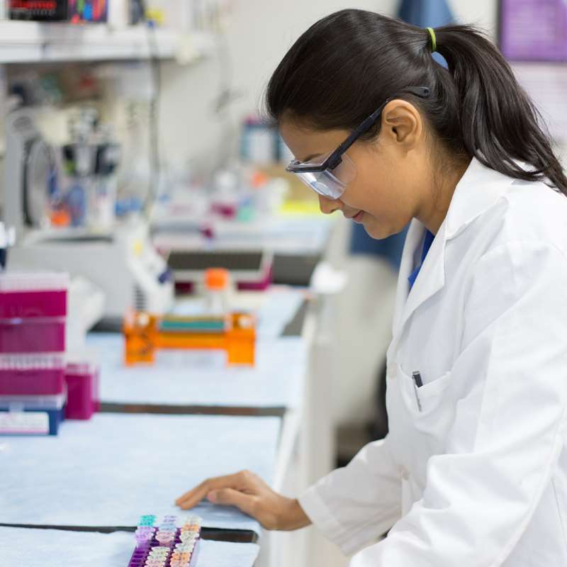 Postdoctoral Student in Laboratory