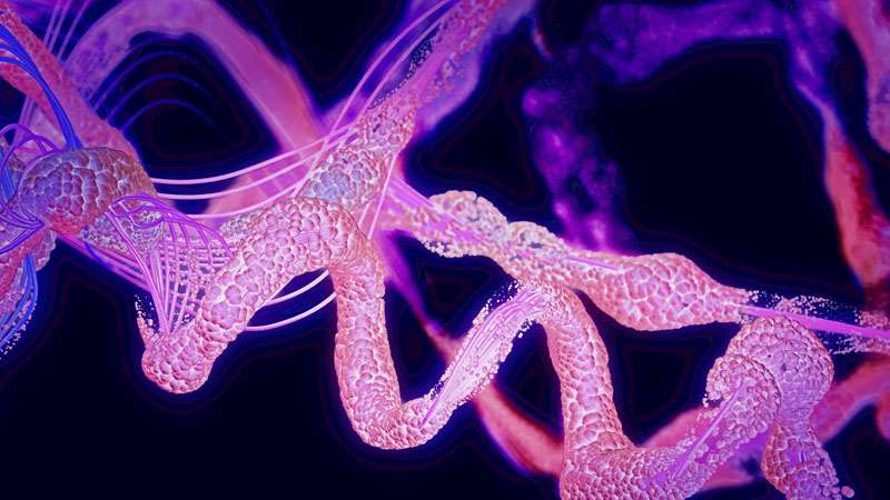 Structural Biology Shared Resource