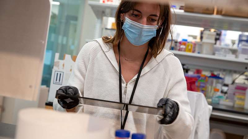 Researcher in lab coat and gloves conducting laboratory experiment