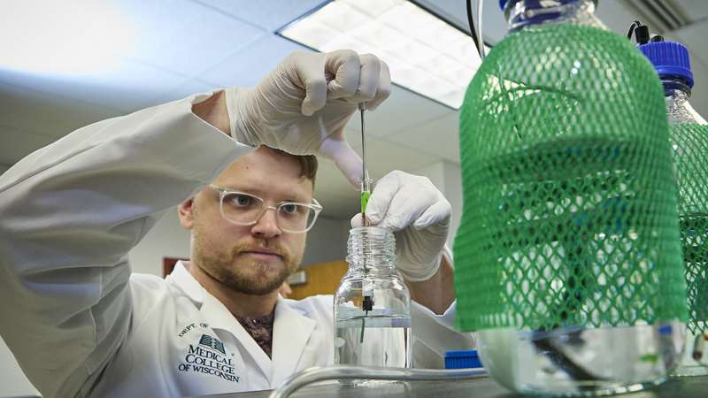 Researcher in lab coat and gloves conducting an experiment