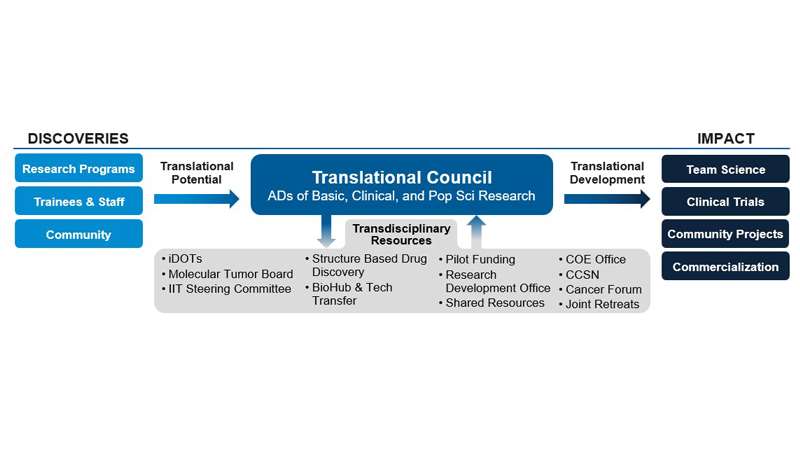 Illustrated graph depicting the Translational Council review process