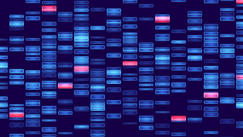 Graphic Representation of Genomic Sequencing