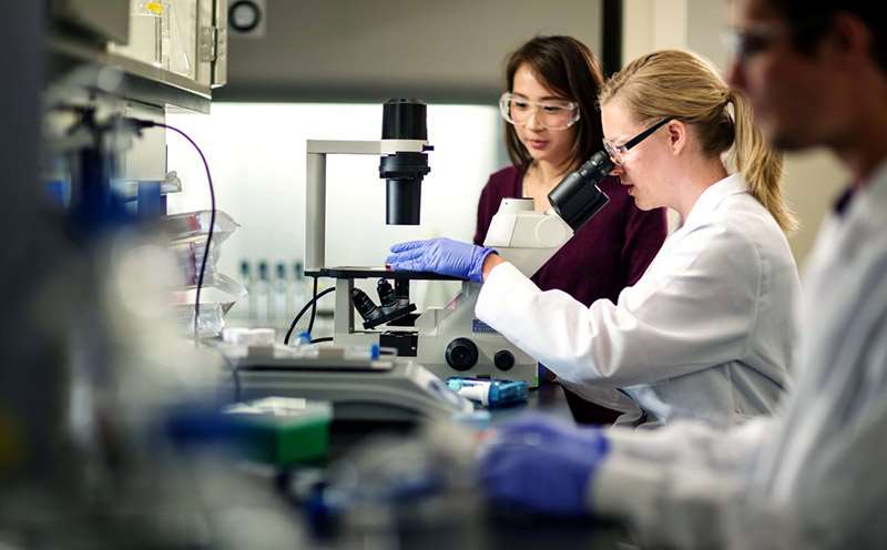 Laboratory Researchers