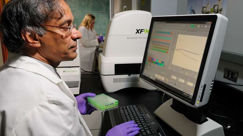 Researcher at Monitor