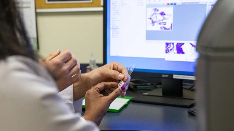 Closeup view of researchers holding smear with computer display in background