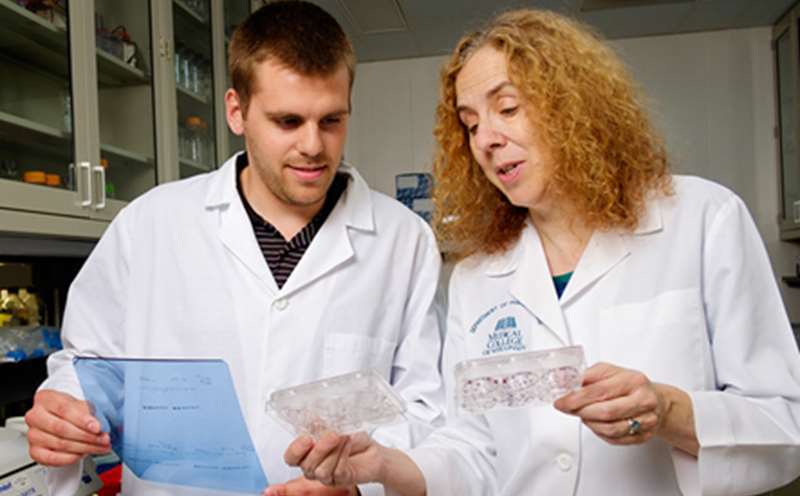 Two researchers in lab coats holding scientific slides