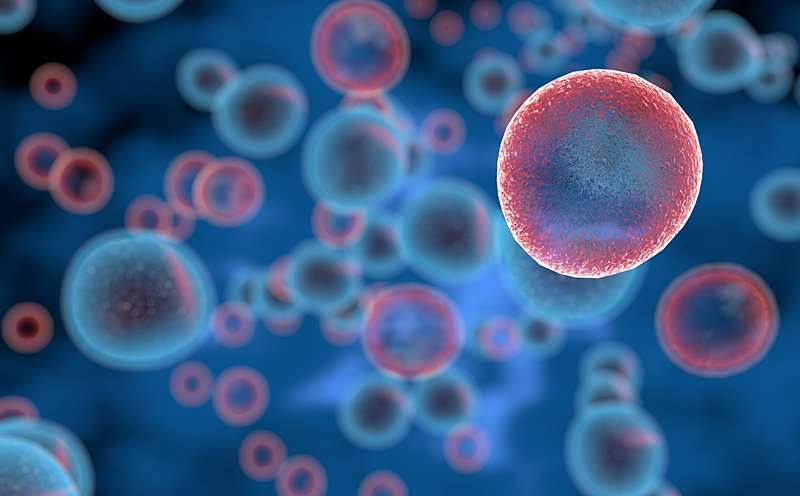 Graphic representation of T Cells