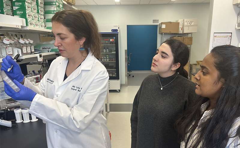 Researchers in the lab