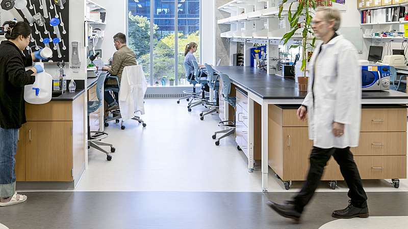 People working in a cancer research lab
